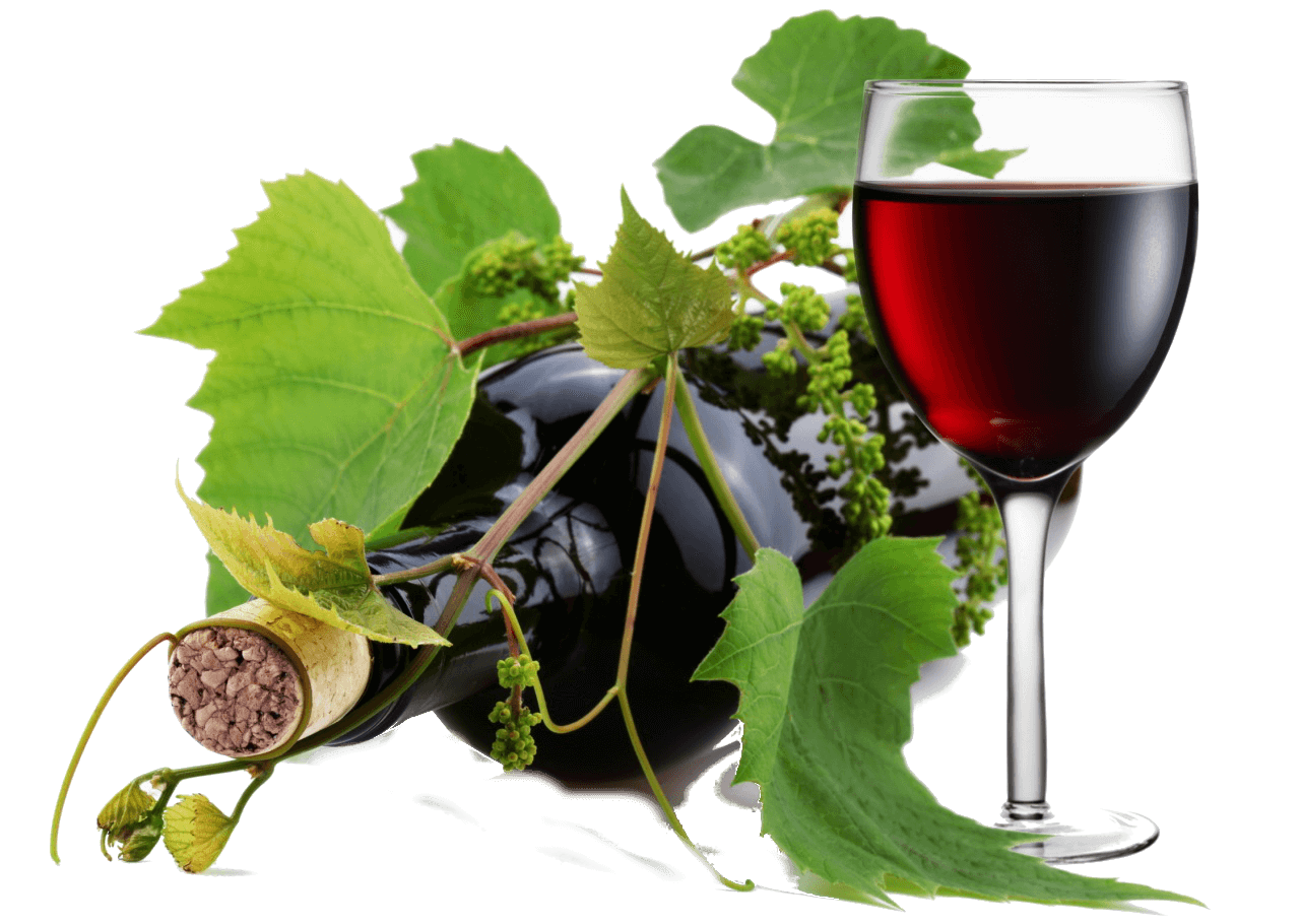 pinot noir