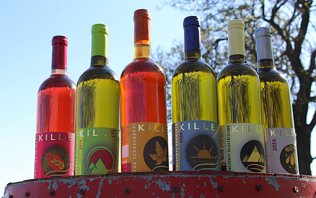 Elkészültek új boraink – 11 tétel, amit érdemes megkóstolni!