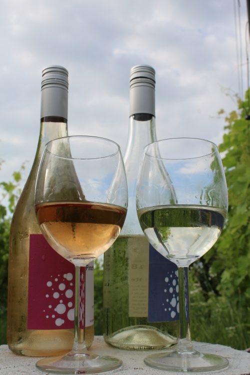 Chasselas Frizzante 2024 - Image 2